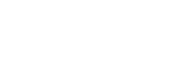 Consulting IT Project Logo