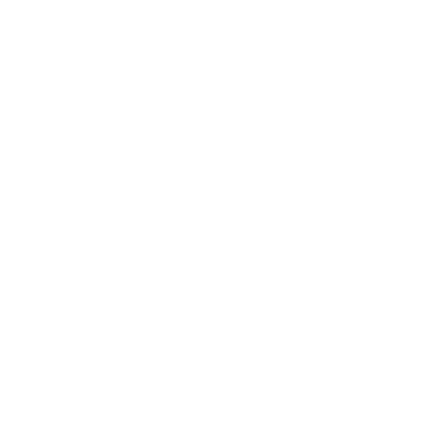 Consulting IT Project Logo